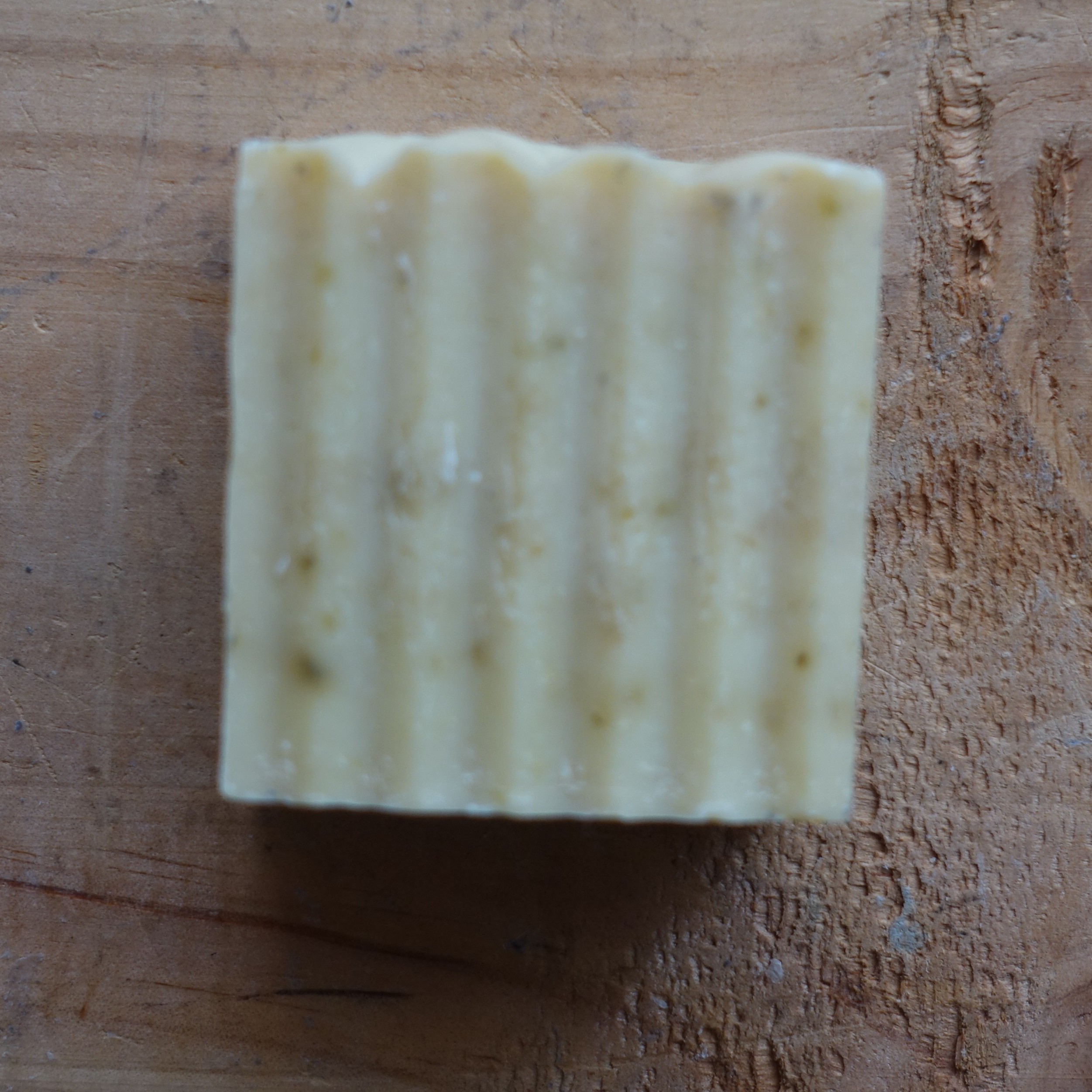 Orange Rosmarin ohne